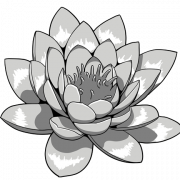 Lotus tatuaje png clipart