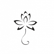 Lotus -tatoeages transparant