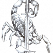 Scorpion Tattoos Free Download PNG