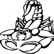Scorpion Tattoos Free PNG Image