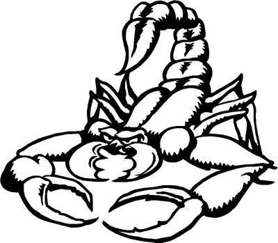 Scorpion Tattoos Free PNG Image