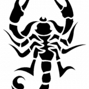 Scorpion Tattoos PNG Picture