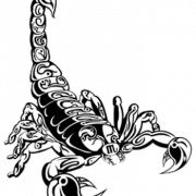 Scorpion Tattoos Transparent