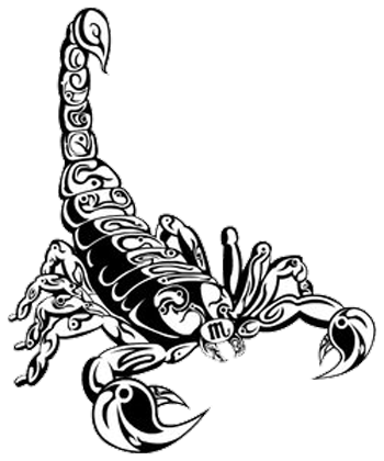 Scorpion Tattoos Transparent