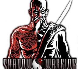 Téléchargement gratuit de Shadow Warrior PNG