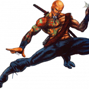 Shadow Warrior PNG Image