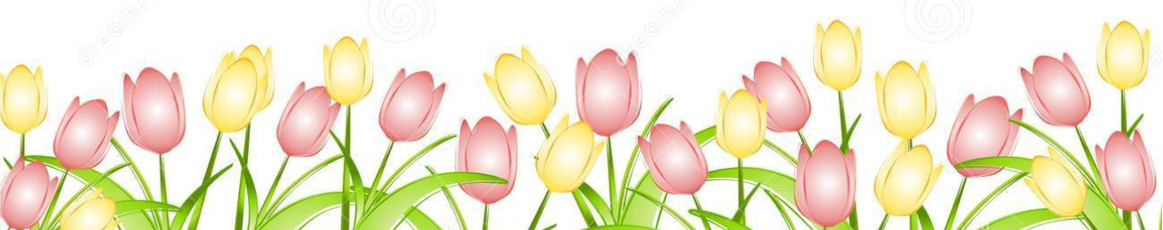 Spring PNG Images