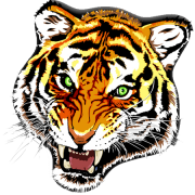 Tiger Tattoos PNG Clipart