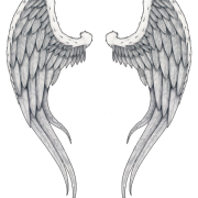 Wings Tattoos PNG Image