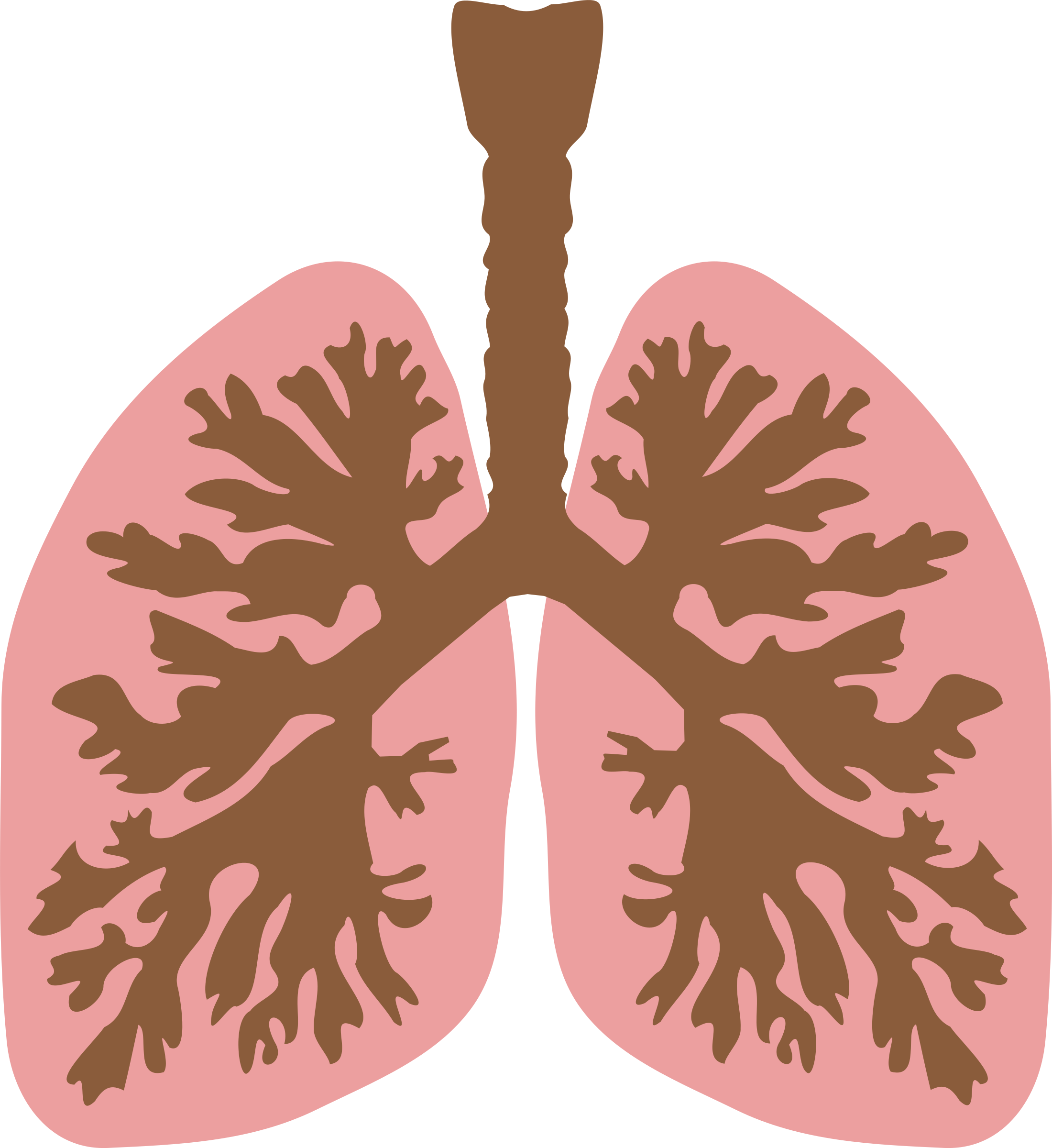 Lungs PNG HD