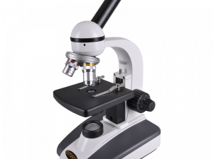 Microscope Free Download PNG