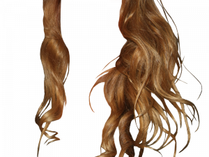 Hairstyles Download PNG