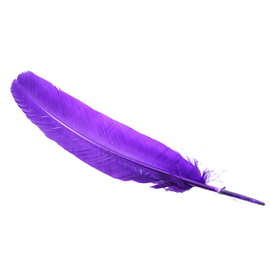 Feather PNG Clipart