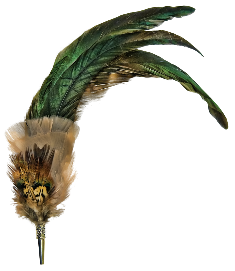 Feather PNG File