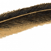 Feather PNG Image