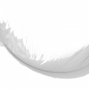 Feather PNG Images