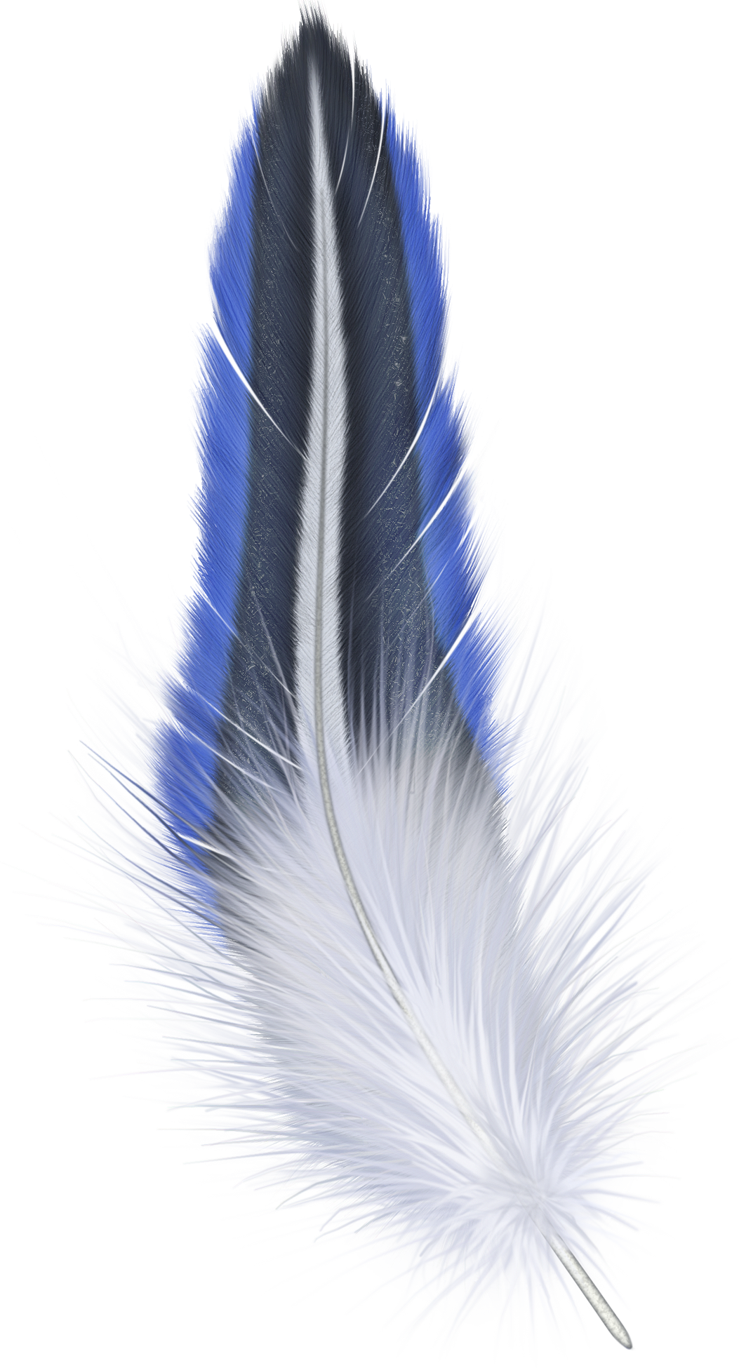 Feather PNG Picture