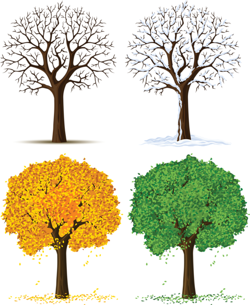 Four Seasons PNG Image