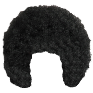 Afro Hair PNG Images
