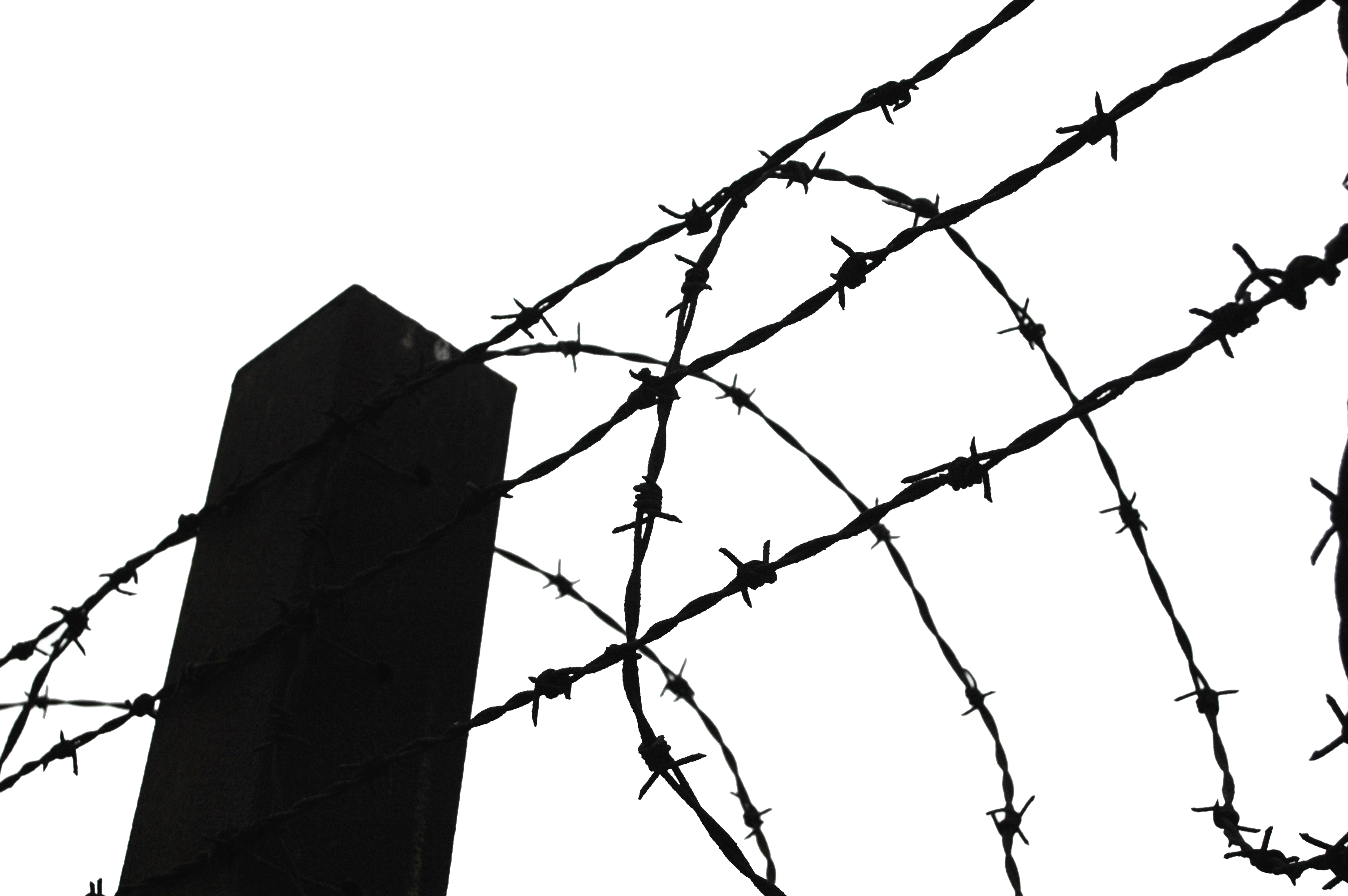 Barbwire PNG Clipart
