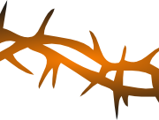 Barbwire PNG Images