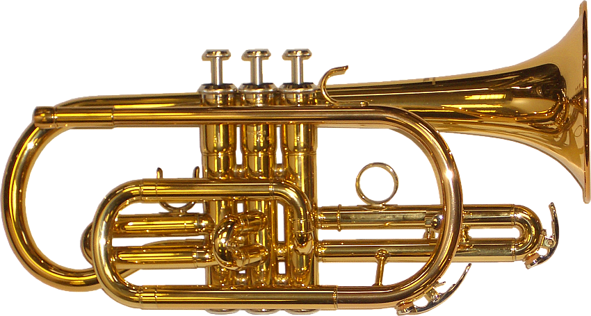 Brass Band Instrument PNG Picture