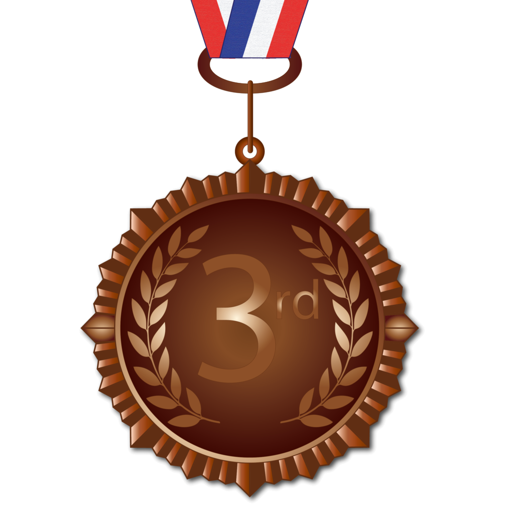 Bronze Medal PNG File
