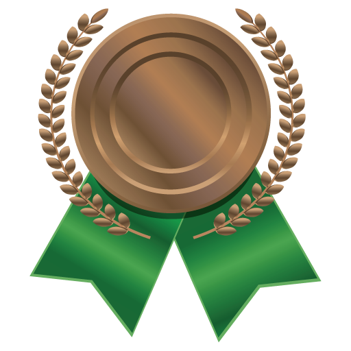Bronze Medal PNG Picture