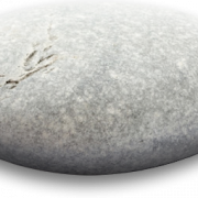 Pebble Stone PNG -Datei