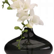 Imagem PNG do vaso