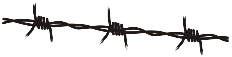 Wire Download PNG