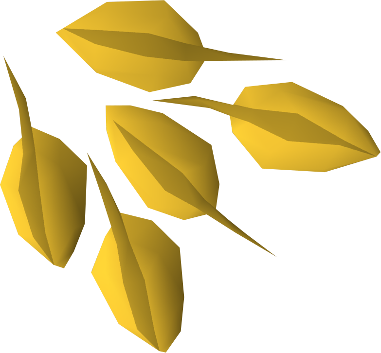 Seed PNG HD