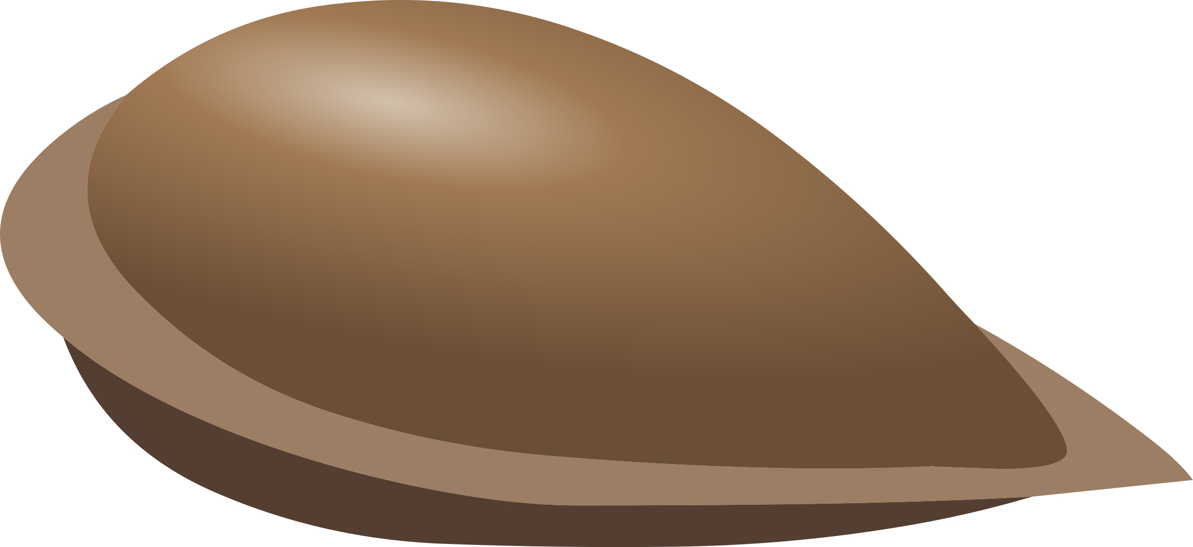 Image PNG des semences