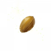 Imagem PNG de semente