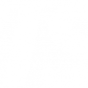 شعار Visa PNG صورة