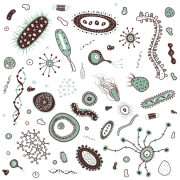 Immagini PNG di batteri
