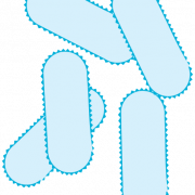Bactéries PNG Image