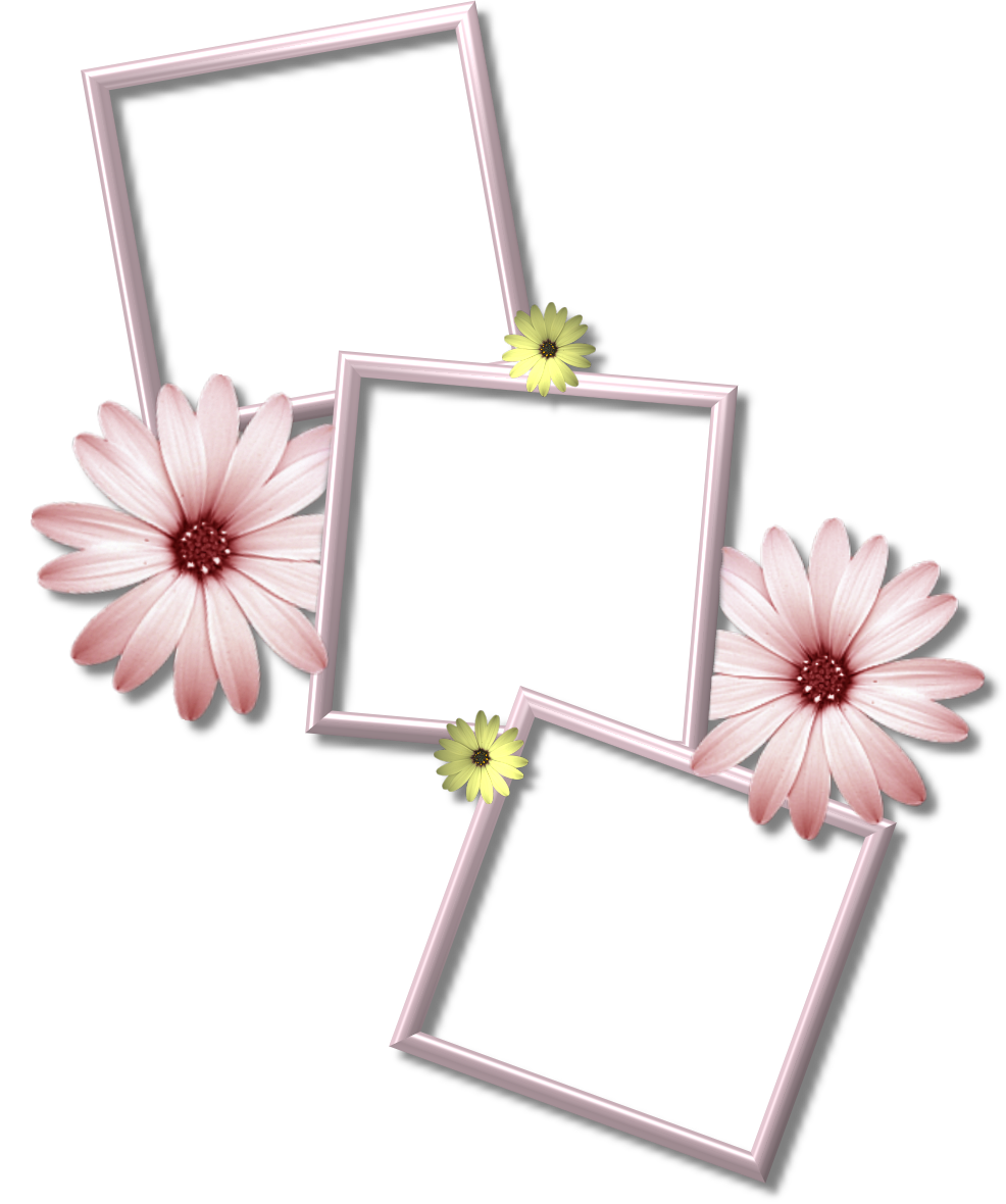 Collage Frame PNG Picture