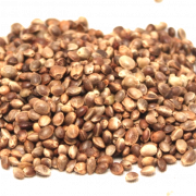 Imagem de sementes de cânhamo PNG