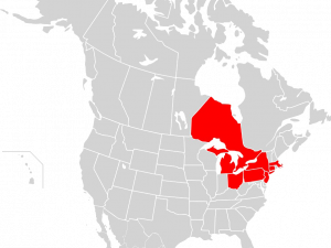 Download gratuito della mappa del Nord America PNG