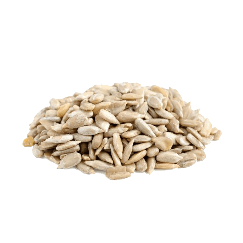 Sesame Seeds High Quality PNG