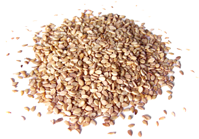 Sesame Seeds PNG File
