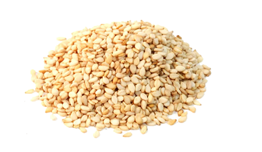 Sesame Seeds PNG HD
