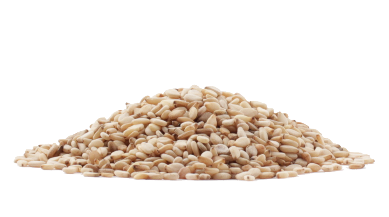 Sesame Seeds PNG Image