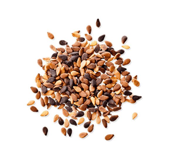 Sesame Seeds PNG Pic