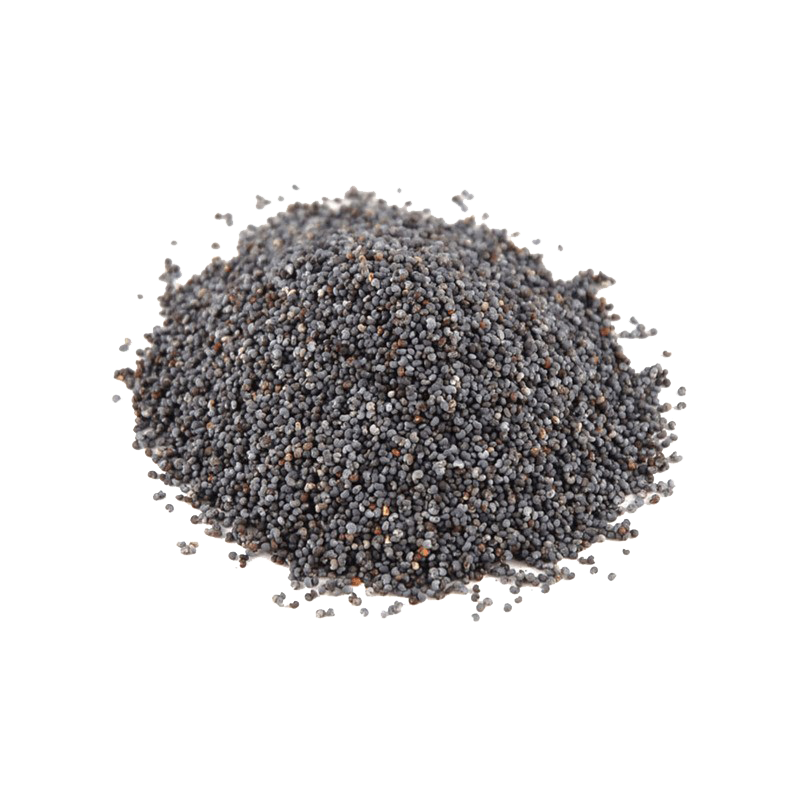 Sesame Seeds PNG