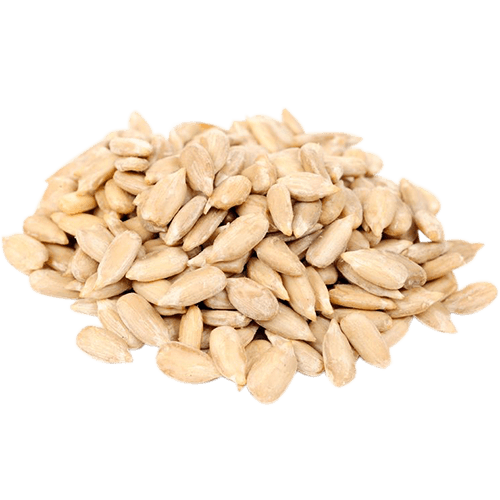 Arquivo PNG de sementes de girassol