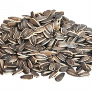 Imagen de PNG de semillas de girasol