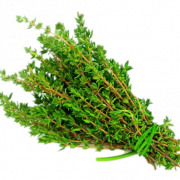 Herb Scarica png