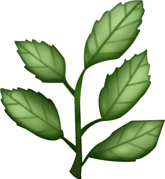 Herb PNG Clipart